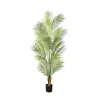 Lykke Areca Palm