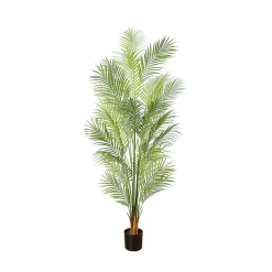 Lykke Areca Palm