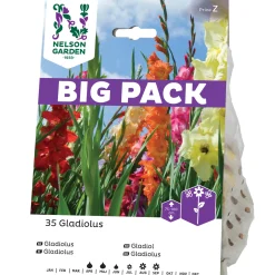 Nelson Garden Blandade Färger BigPack