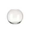 Leonardo Boccia 20 cm