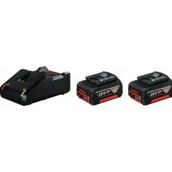 Bosch Power Tools Bosch 2 x GBA 18V 4.0Ah + GAL 18V-40