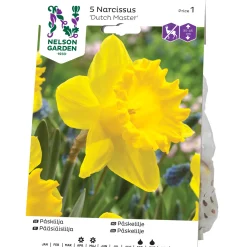 Nelson Garden Dutch Master
