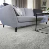 Fibertrone Enzo