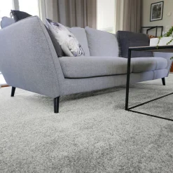 Fibertrone Enzo