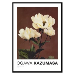 Gallerix Hærdaceous Peony By Kazumasa Ogawa