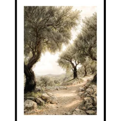 Gallerix Mediterranean Path