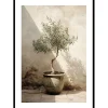 Posters*Gallerix Olive Tree Mediterranean No1