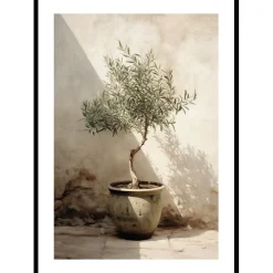 Posters*Gallerix Olive Tree Mediterranean No1