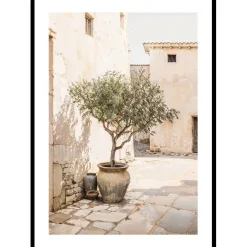 Gallerix Olive Tree Mediterranean Setting No1