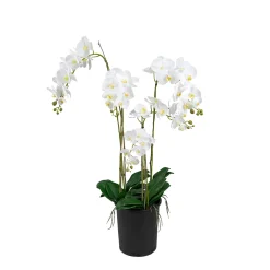 Konstgjorda Växter|Kontorsmöbler & Kontorsinredning*Mr Plant Phalaenopsis 130