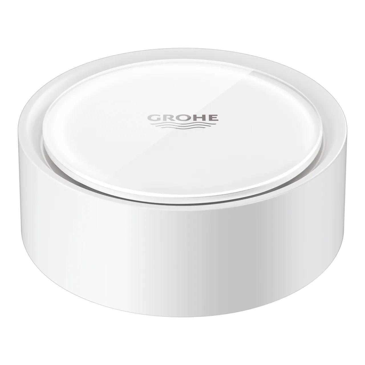 Vattensäkerhet*Grohe Sense 22505