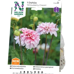 Odling & Trädgårdsskötsel|Odling & Trädgårdsskötsel*Nelson Garden Strawberry Cream