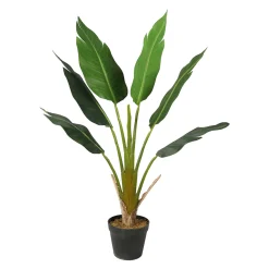 Lykke Strelitzia Tree