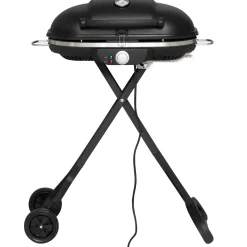Elgrill*Mustang Voyage